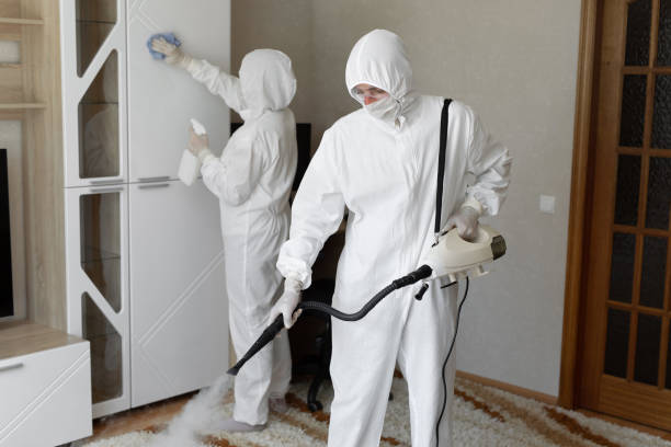 Mold Removal and Inspection in Panama City, FL